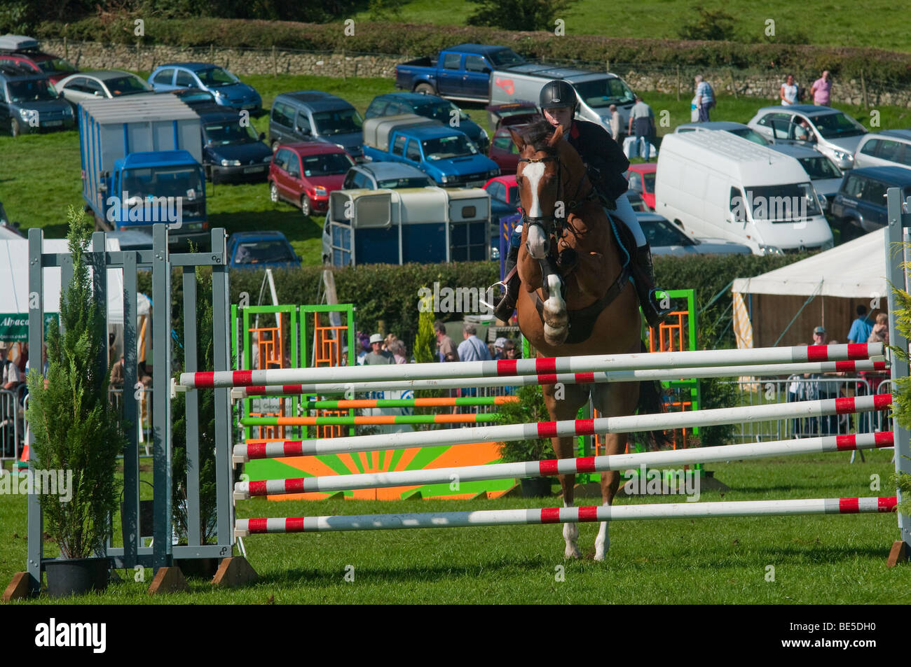 Show Jumping at Westmorland County Agricultural show. Stock Photo