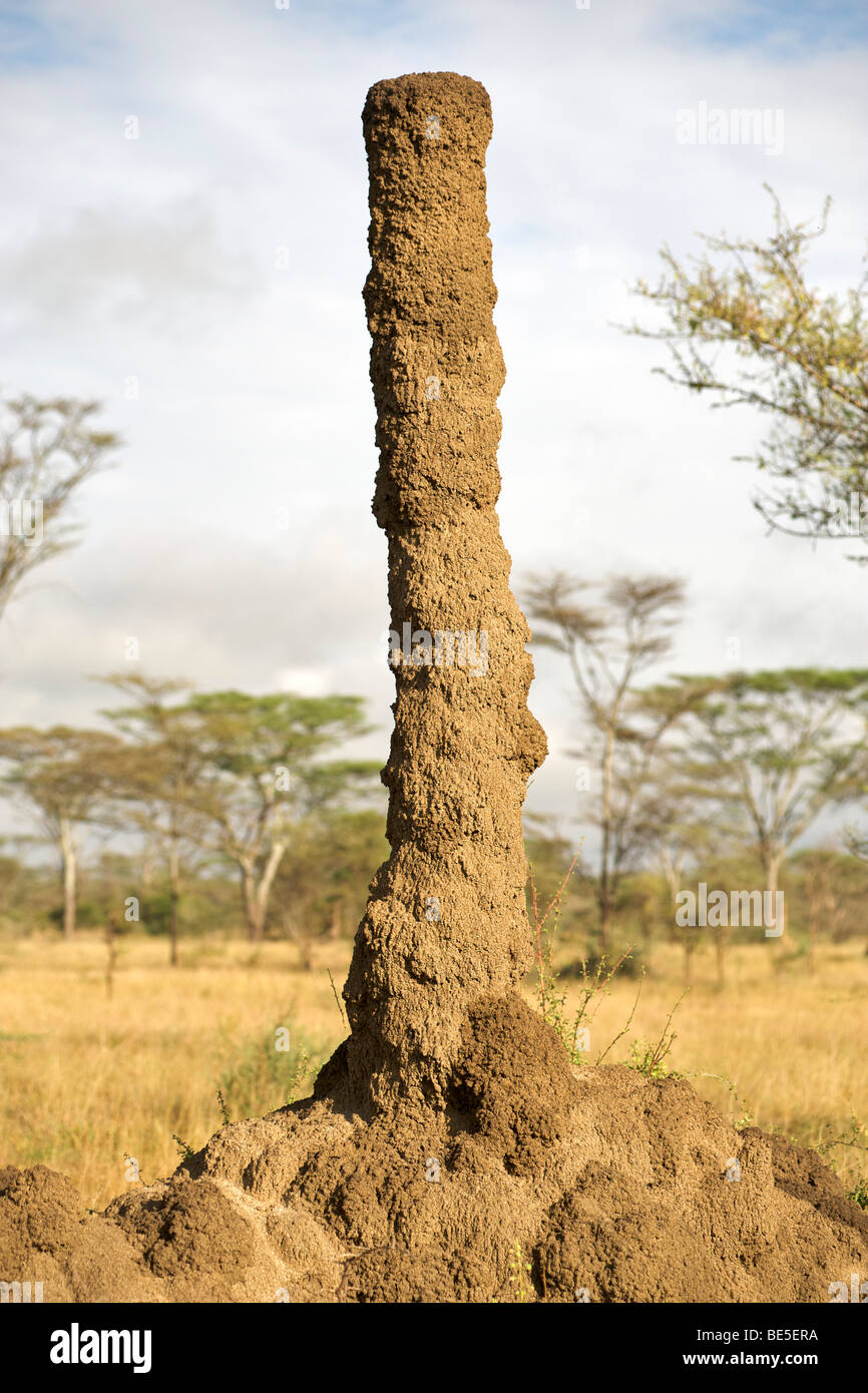 Anthill / termite mound in Kidepo Valley National Park in northern Uganda. Stock Photo