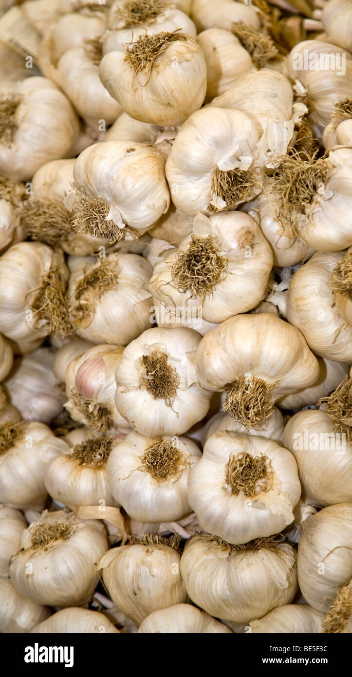 Garlic in a market Stock Photo - Alamy