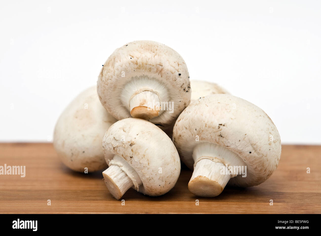 Fresh mushrooms Stock Photo