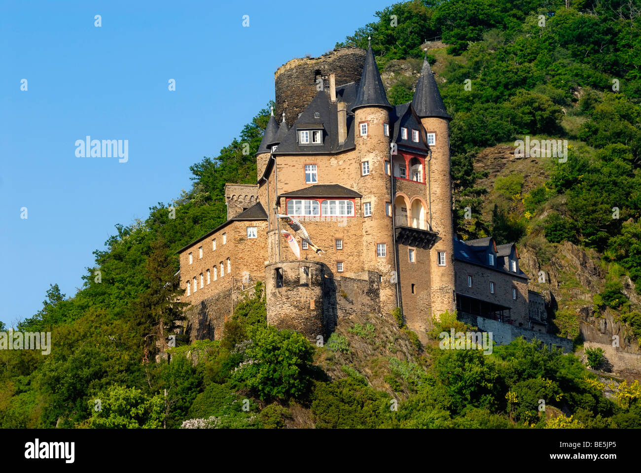 Burg Katz Castle, formally Burg Neukatzenelnbogen, UNESCO World Heritage Site Middle Rhine Valley, Rhineland-Palatinate, German Stock Photo