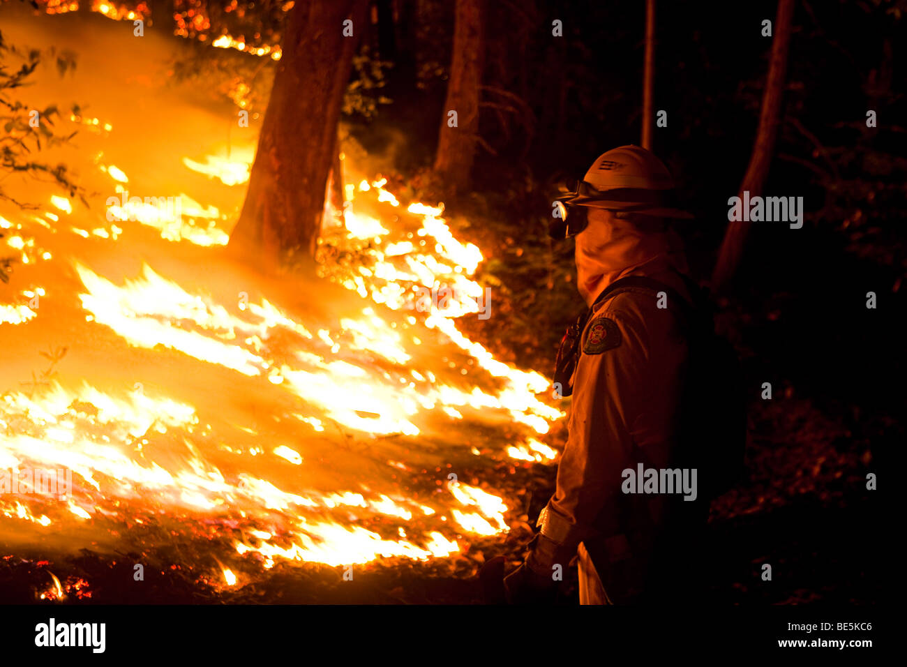 Wildland firefighters at California Lockheed wildfire in Santa Cruz ...