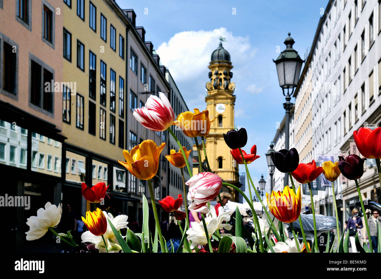 Theatiner church, flowers in Theatinerstreet, Munich, Bavaria, Germany, Europe Stock Photo