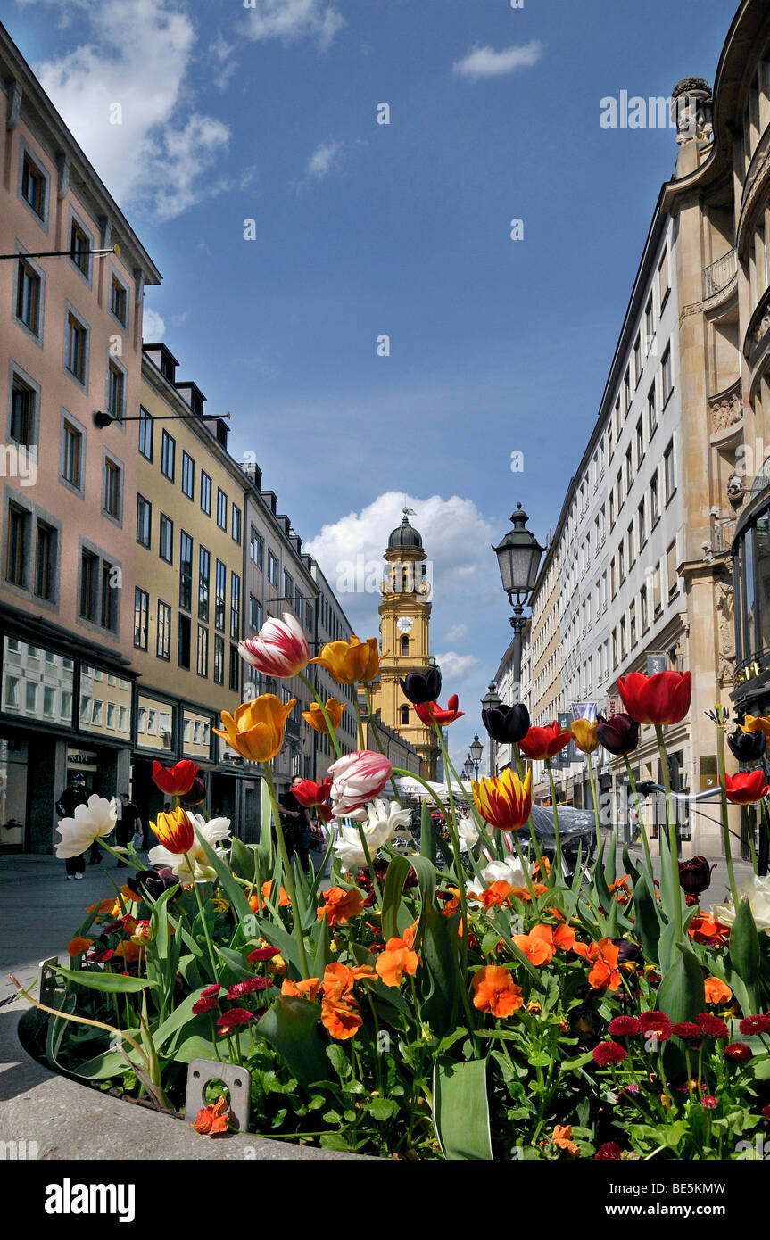 Theatiner church, flowers in Theatinerstreet, Munich, Bavaria, Germany, Europe Stock Photo