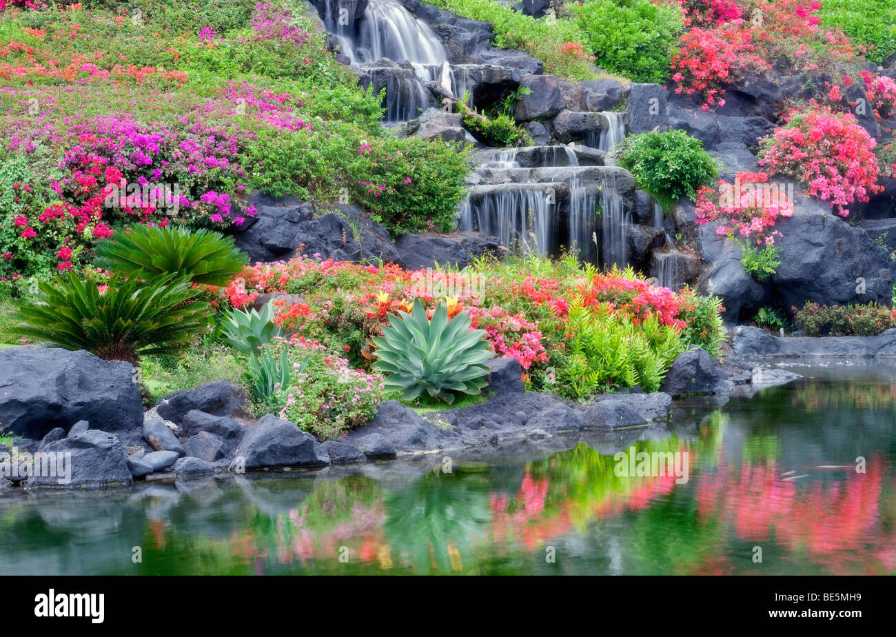 Waterfalls and flower gardens at the Grand Hyatt, Kauai, Hawaii. Stock Photo