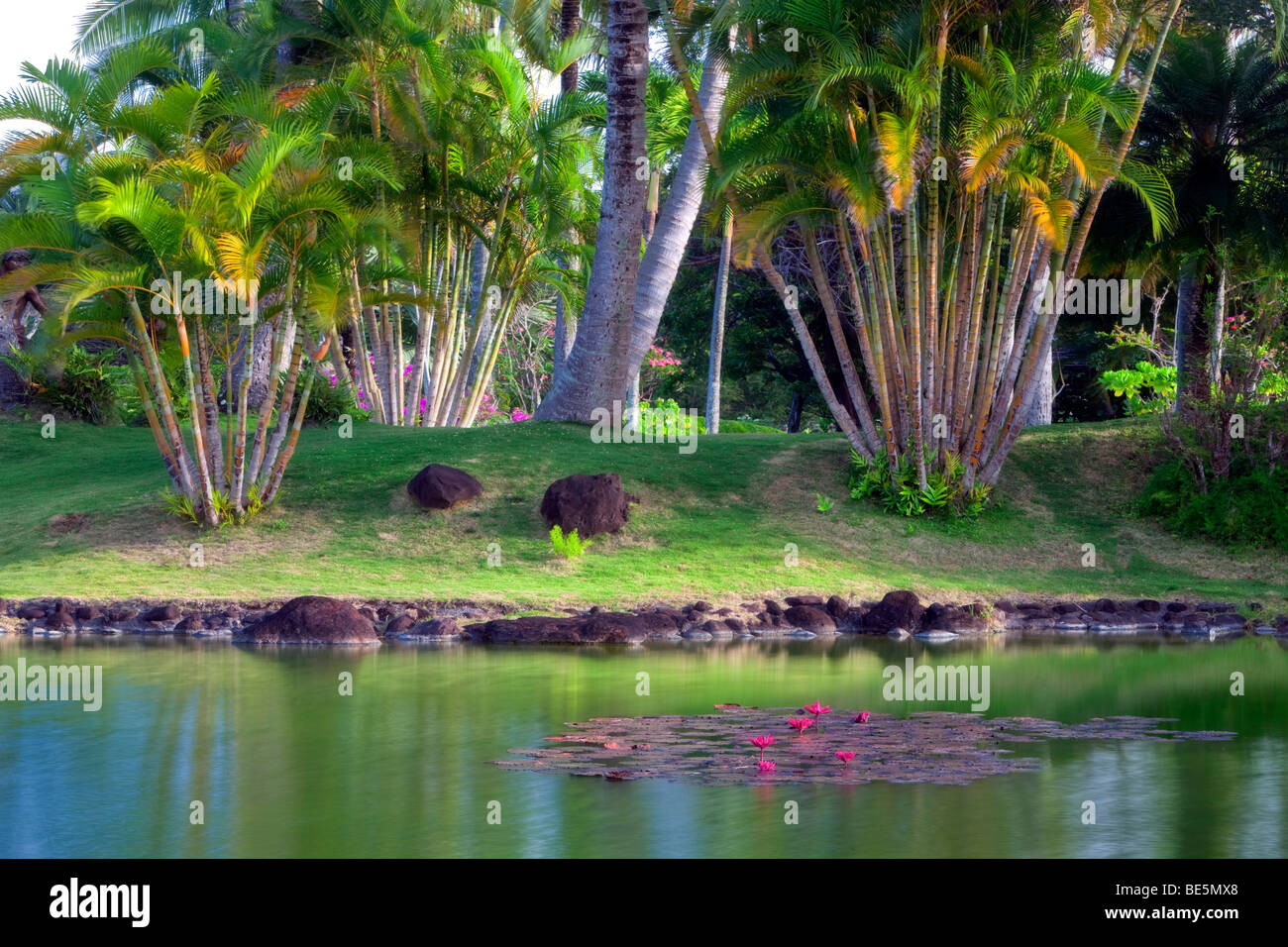 Pond and water lily garden at Na Aina Kai Botanical Gardens. Kauai, Hawaii Stock Photo