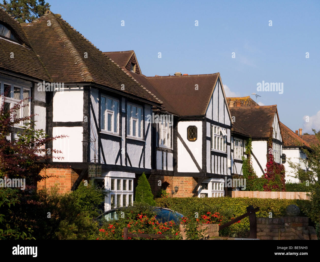 Row of mock Tudor detached 1930's houses in Esher, Surrey. UK. Stock Photo