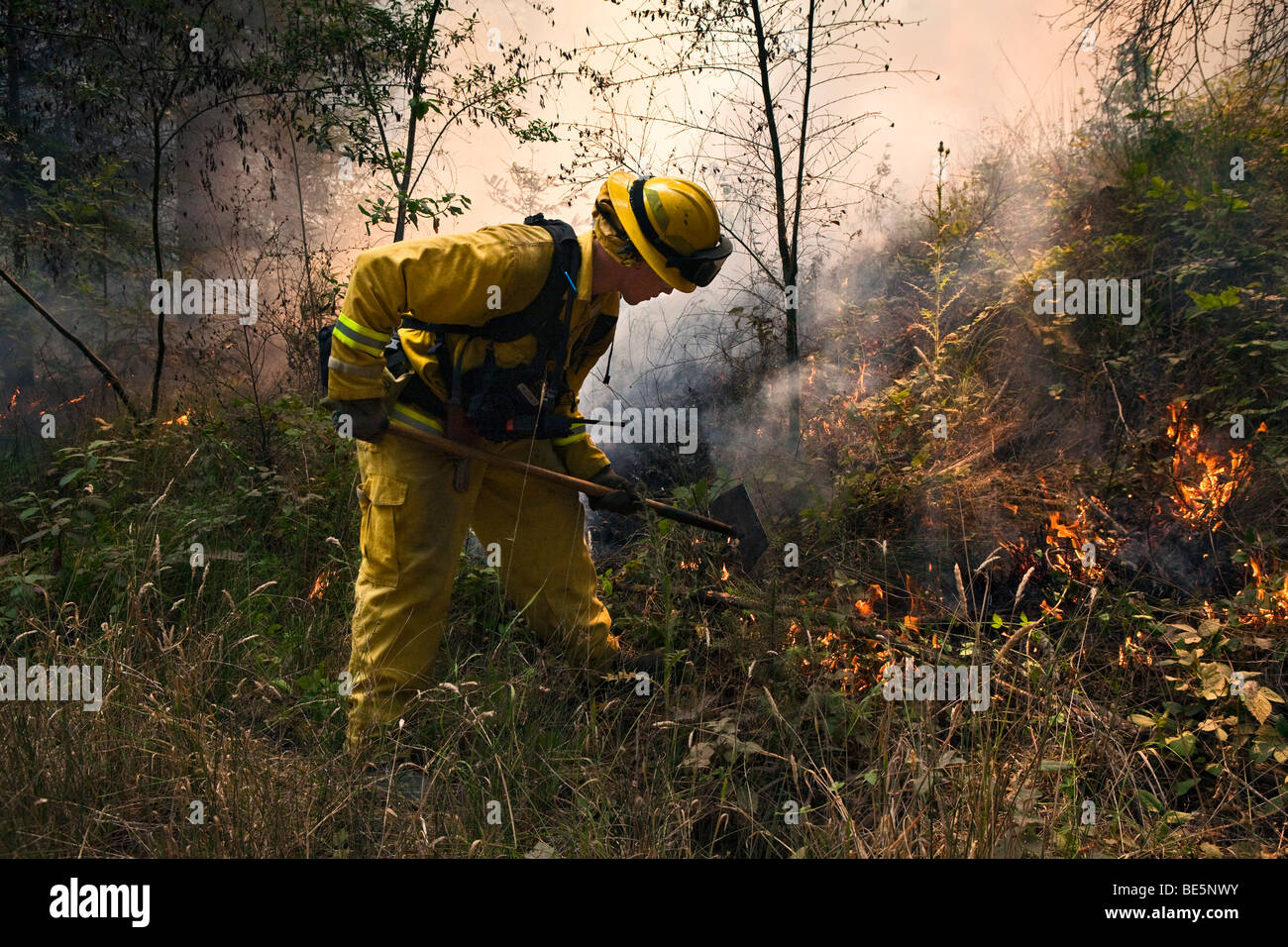 Wildland firefighters at California Lockheed wildfire in Santa Cruz ...