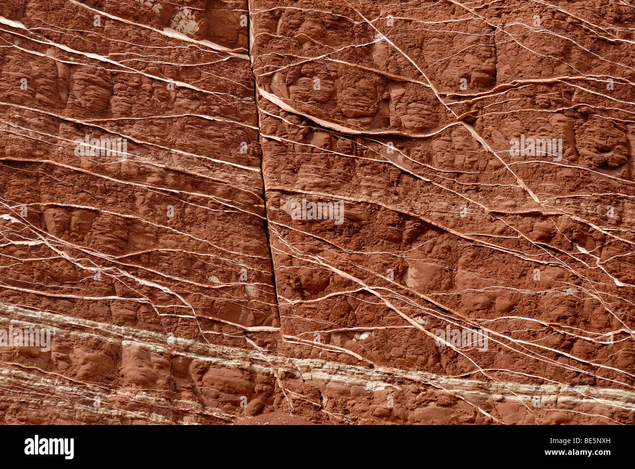 Red-brown sandstone with quartz deposits, Capitol Reef National Park, Utah, USA Stock Photo