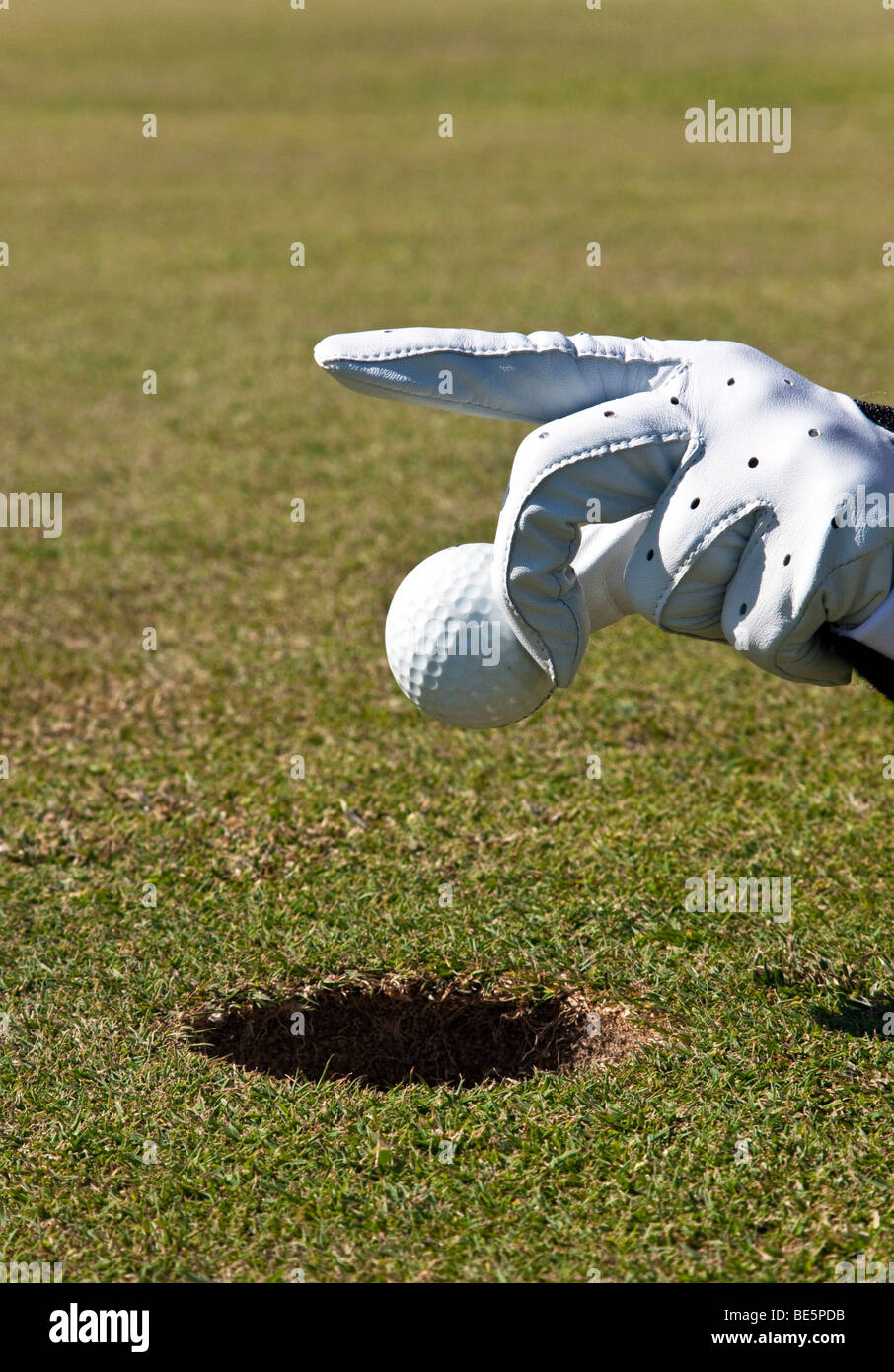 Putting without golf clubs, hand holding a golf ball Stock Photo