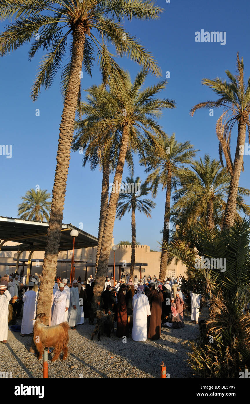 Omani men in traditional dress, livestock or animal market at Nizwa, Hajar al Gharbi Mountains, Al Dakhliyah region, Sultanate  Stock Photo