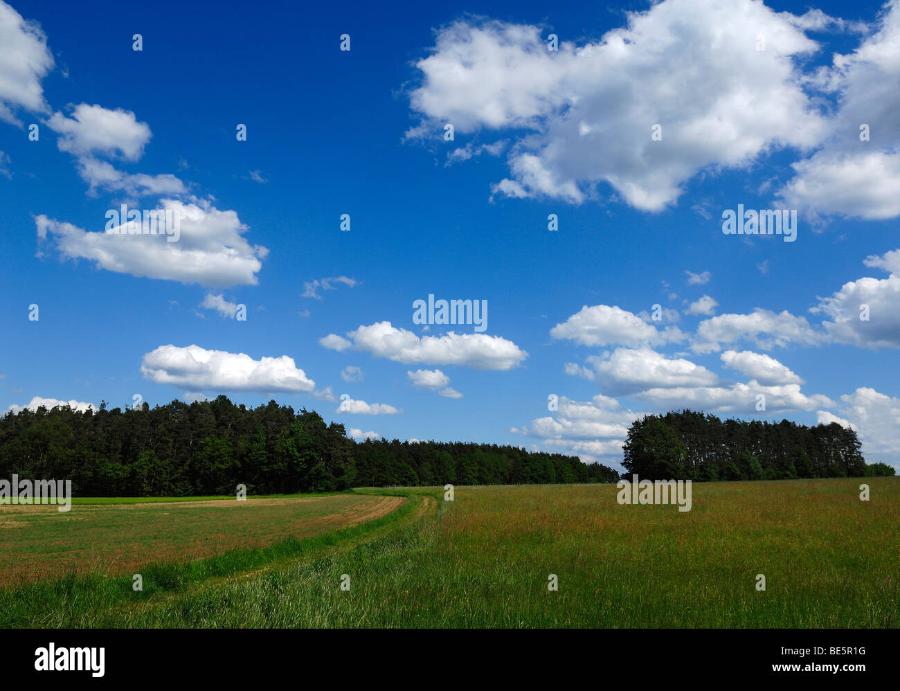Franconian landscape with blue and white sky, Franconian Switzerland, Eckental, Middle Franconia, Bavaria, Germany, Europe Stock Photo