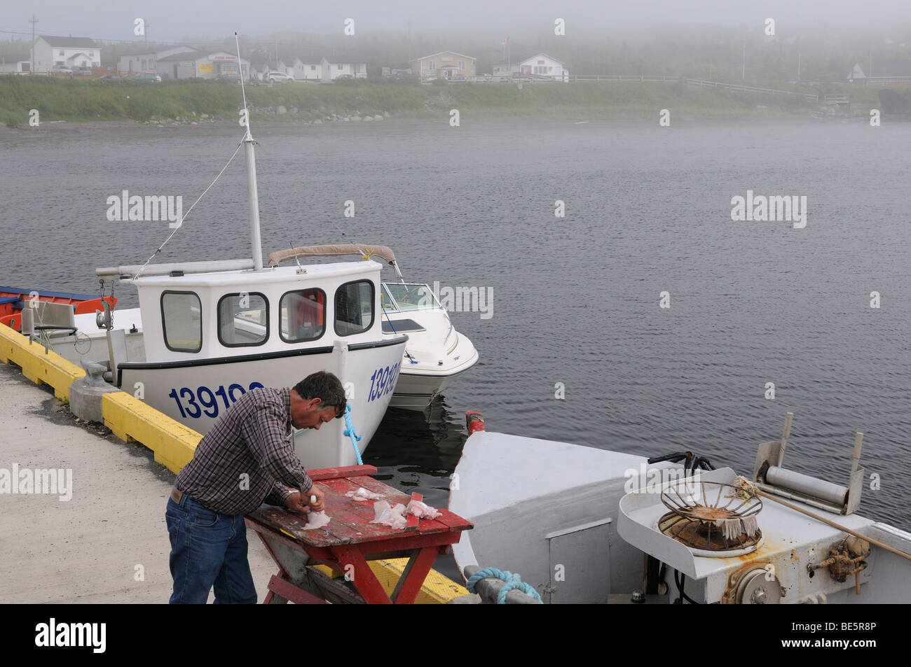 Fisherman filleting cod fish on the pier at Rocky Harbour Newfoundland Canada in fog Stock Photo