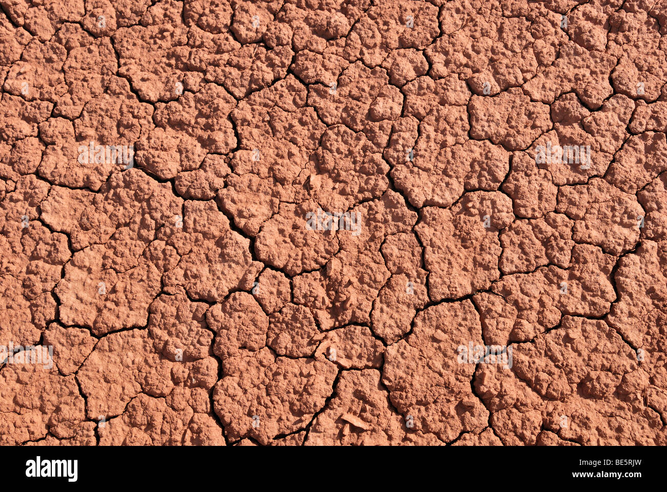 Dried puddle of water with cracks, Capitol Reef National Park, Utah, USA Stock Photo