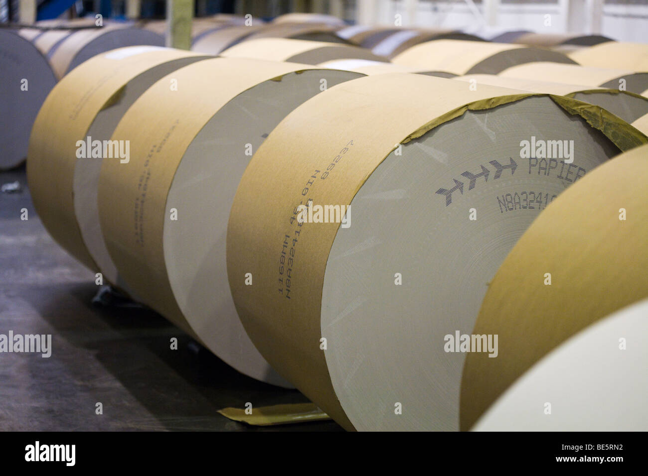 Infinite Rolls of Newsprint paper. Huge rolls of newsprint wait in