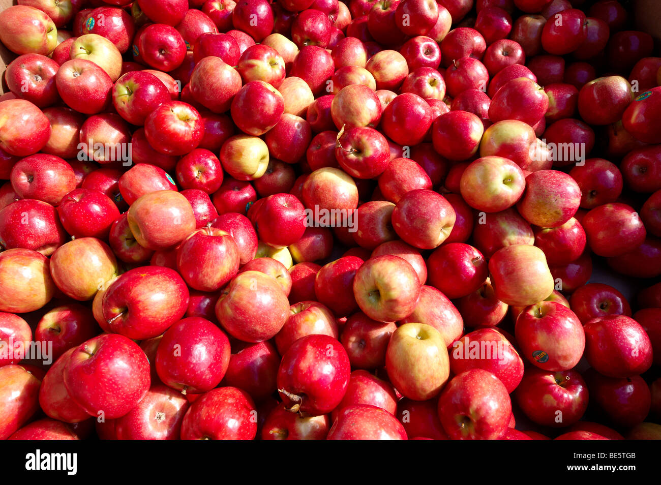 Fresh fuji apple fruit hi-res stock photography and images - Alamy