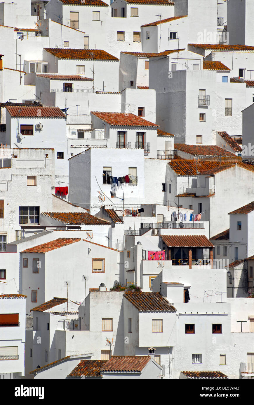 The white houses of Casares, one of the 'Pueblos Blancos' in the province of Malaga, Andalusia, Spain, Europe Stock Photo