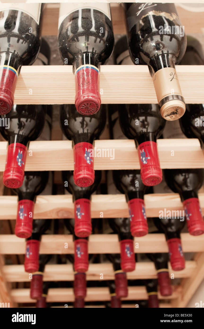 Wine bottles in the cellar Stock Photo