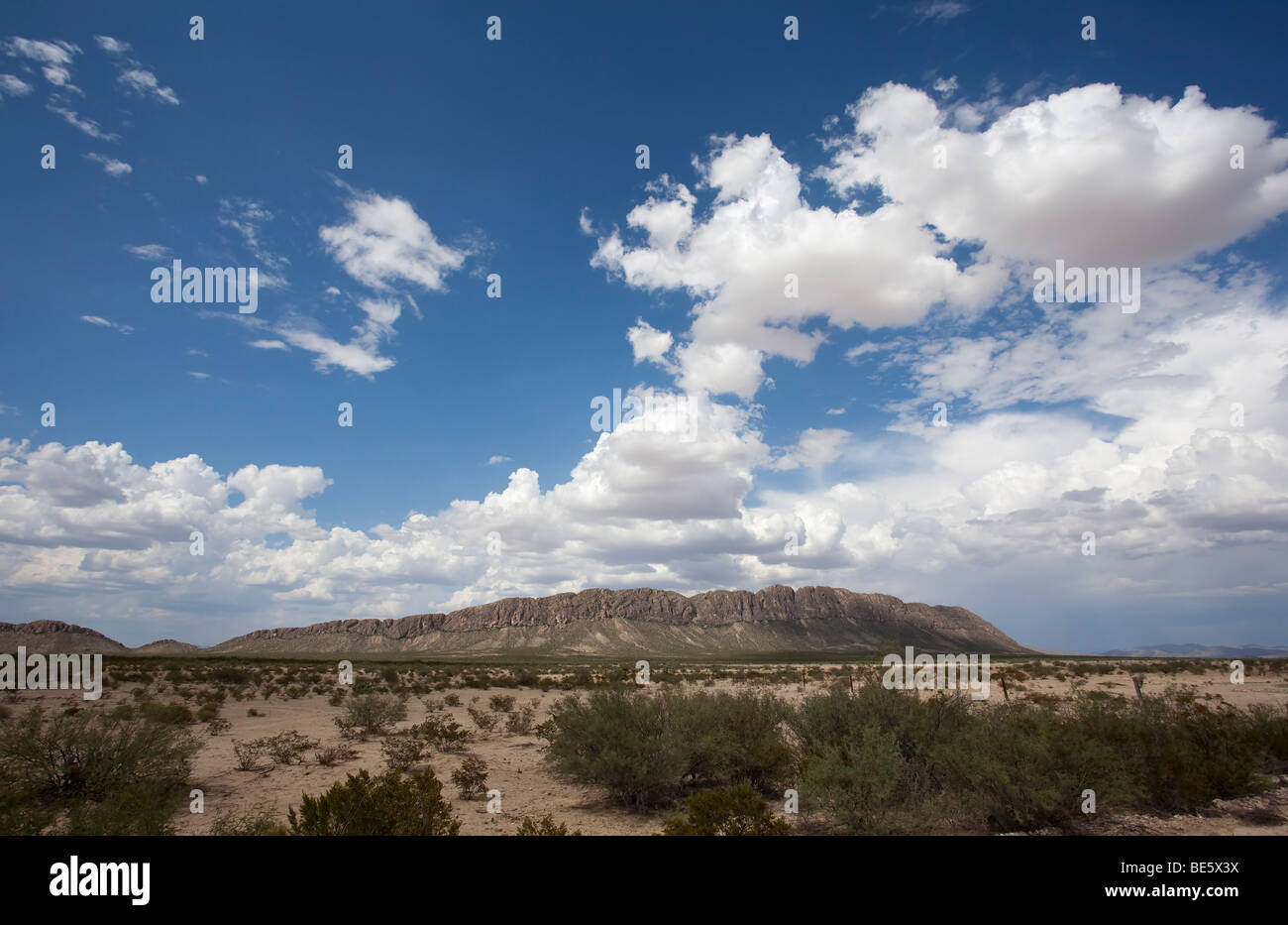 Desert landscape, Coahuila, northern Mexico Stock Photo - Alamy