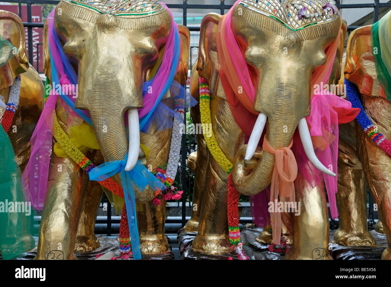 Decorated elephant thailand asia hires stock photography and images