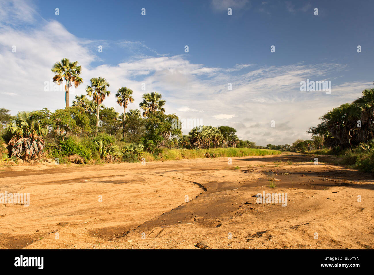 The dry bed of the Kidepo river in Kidepo Valley National Park in northern Uganda. Stock Photo