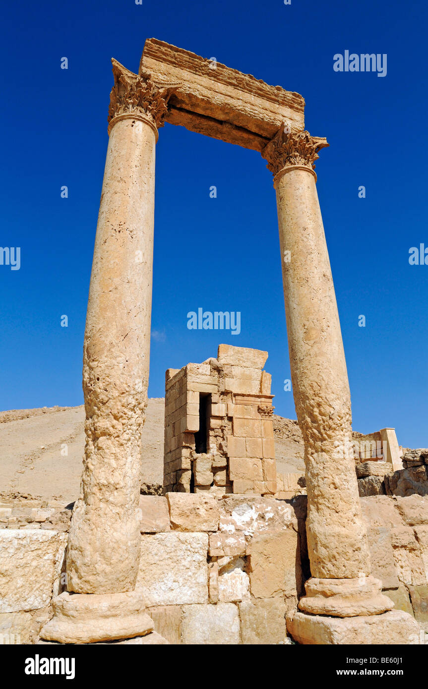 Ruins of the Diocletian camp, Palmyra excavation site, Tadmur, Syria, Asia Stock Photo