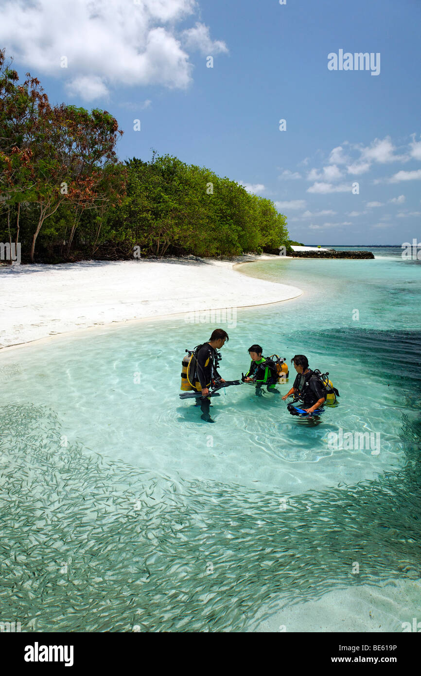 Divers getting instructions in a lagoon, fish shoal, Vadoo, island, South Male Atoll, Maldives, archipelago, Indian Ocean, Asia Stock Photo