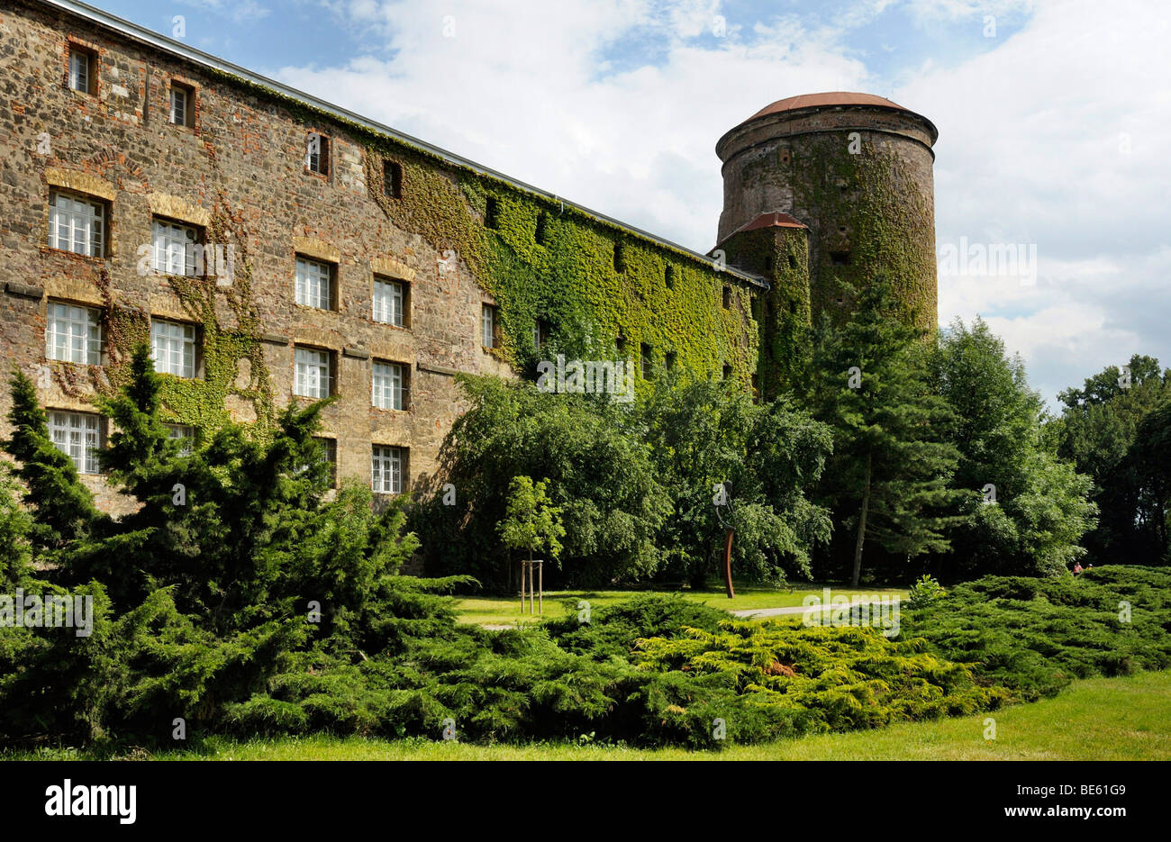 Castle, Lutherstadt Wittenberg, SaxonyAnhalt, Germany, Europe Stock Photo Alamy