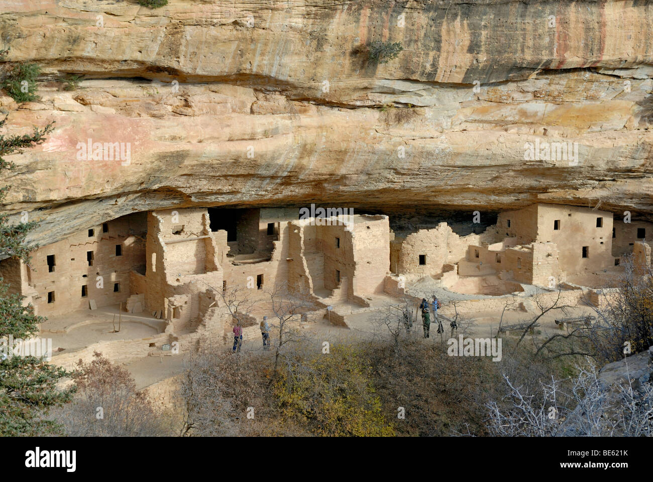 Historic habitation and cult site of the Ancestral Puebloans, Spruce Tree House, about 1200 AD, Mesa Verde National Park, Color Stock Photo