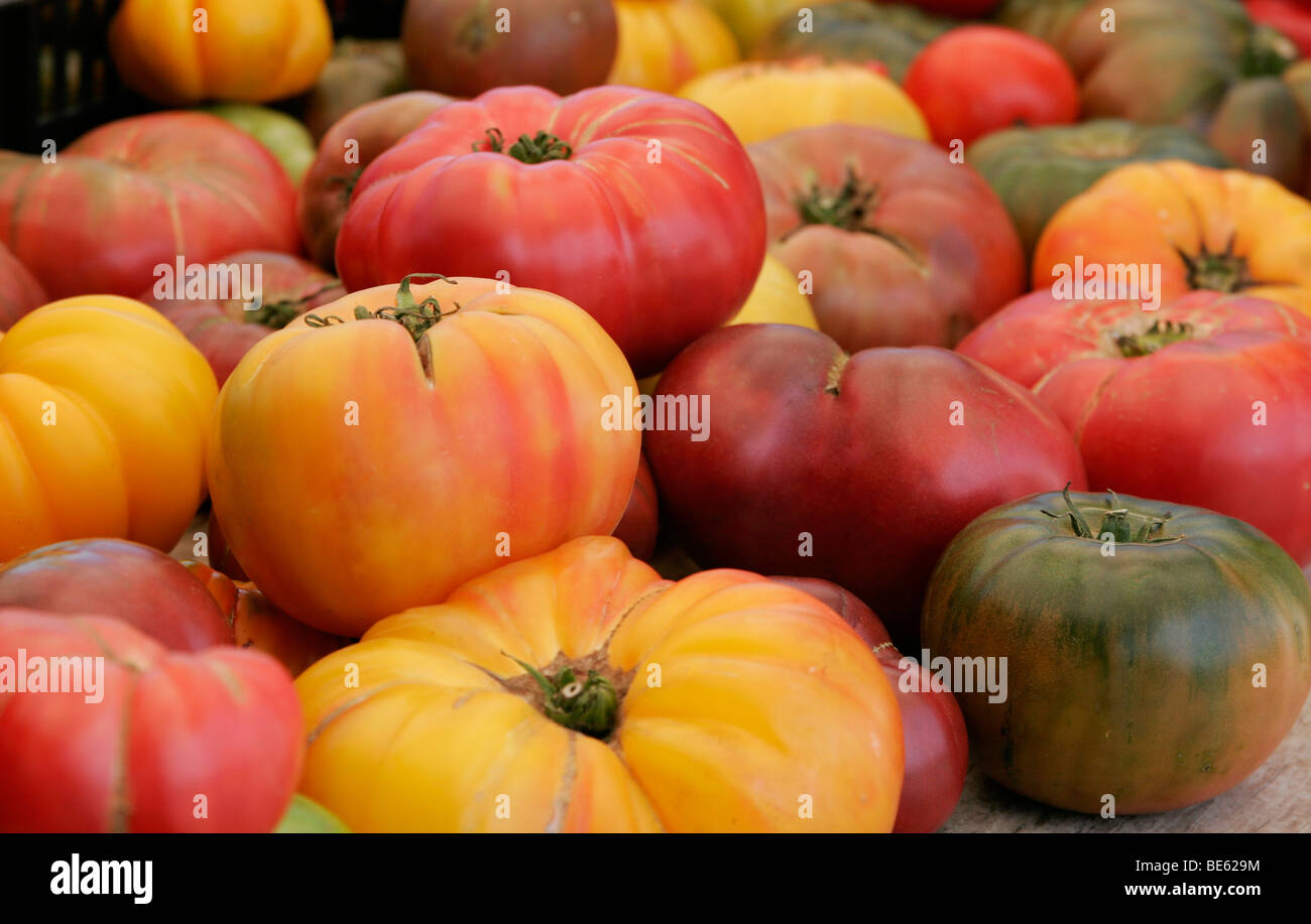 Heirloom tomatoes on display at the Farmer's Market Stock Photo - Alamy