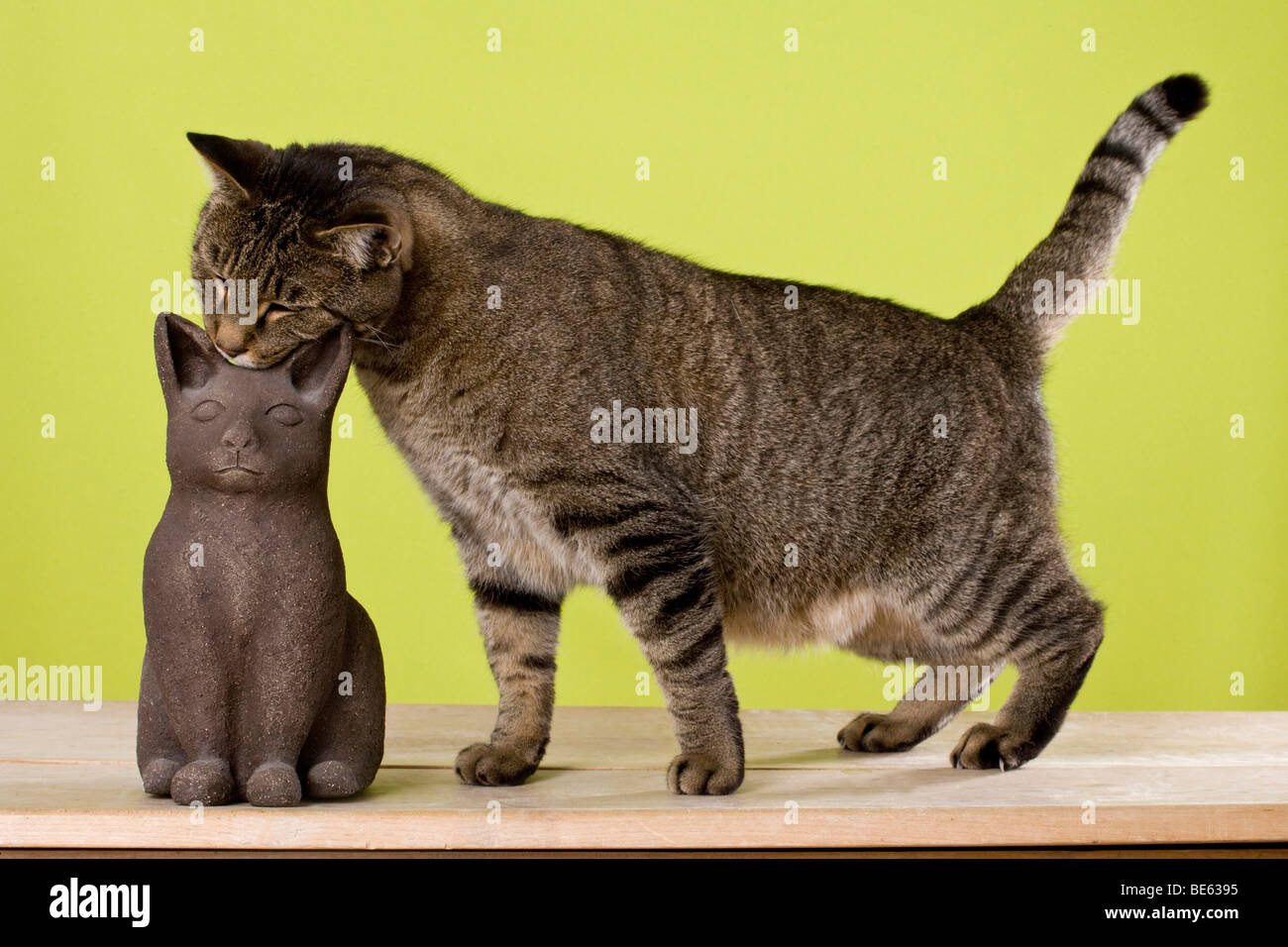 Male cat sniffing at ceramic cat Stock Photo