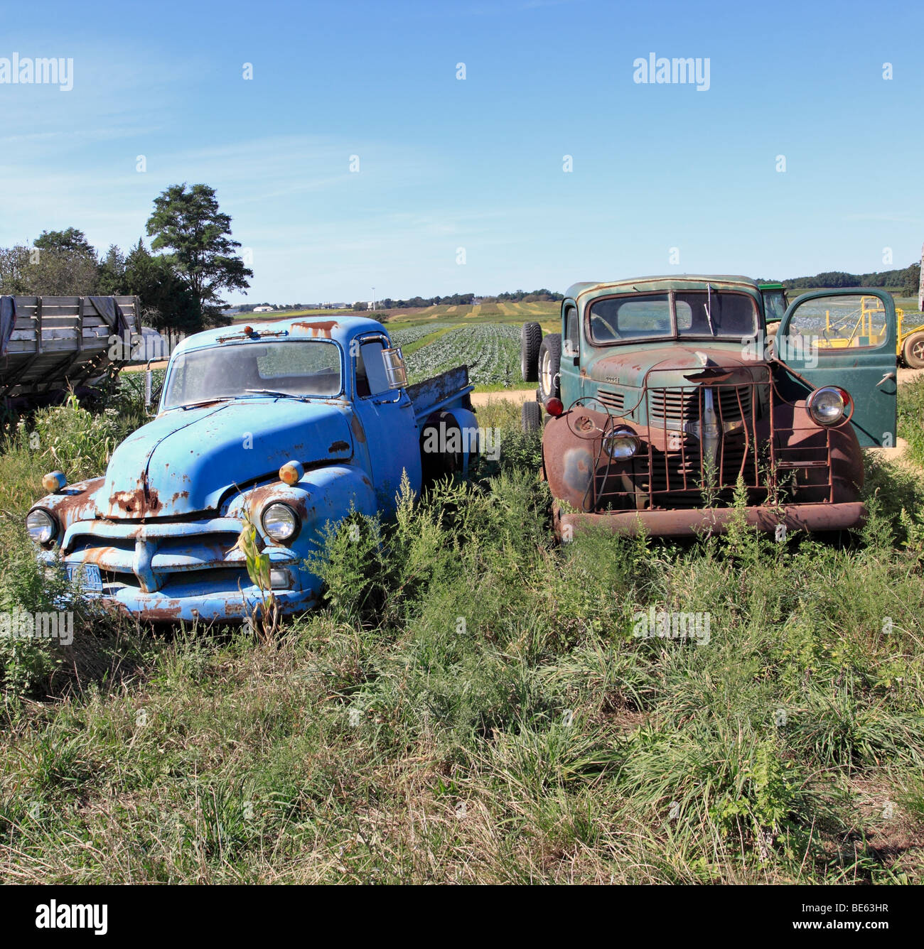 Old rusted vehicles on farm, Long Island, NY Stock Photo