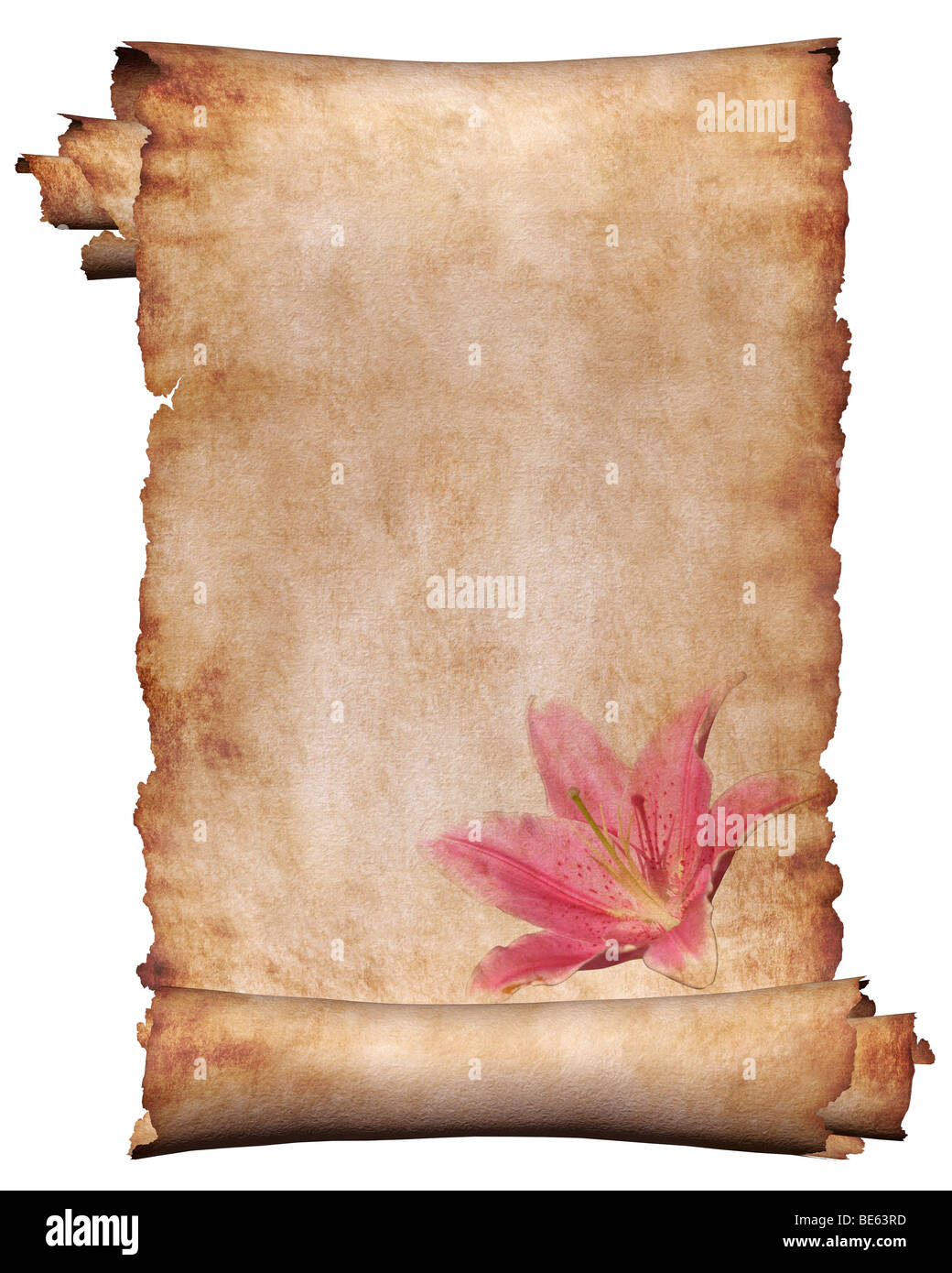 Scroll framing hires stock photography and images Alamy