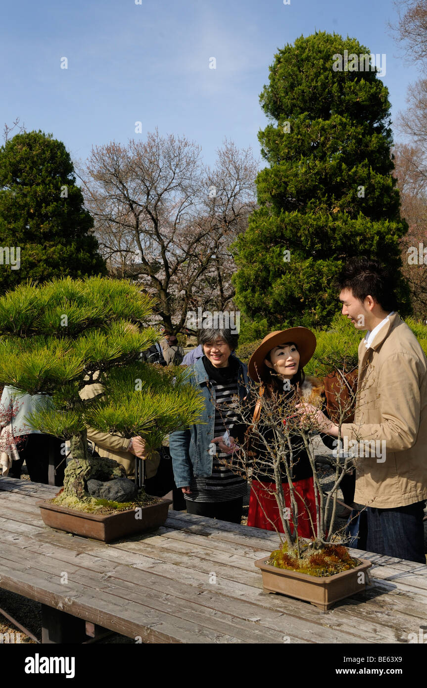 Young couple looking at bonsai trees at the Botanical Garden in Kyoto, Japan, Asia Stock Photo