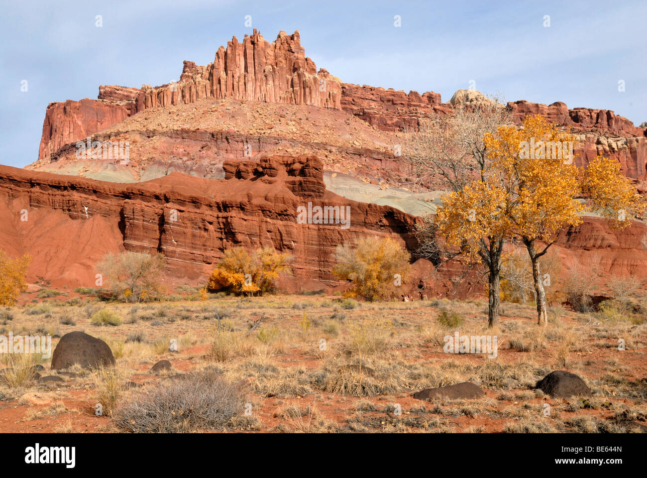 The Castle sandstone formation, Wingate Sandstone, in the front Aspen (Populus tremula) and Hamburger Rocks, Capitol Reef Natio Stock Photo