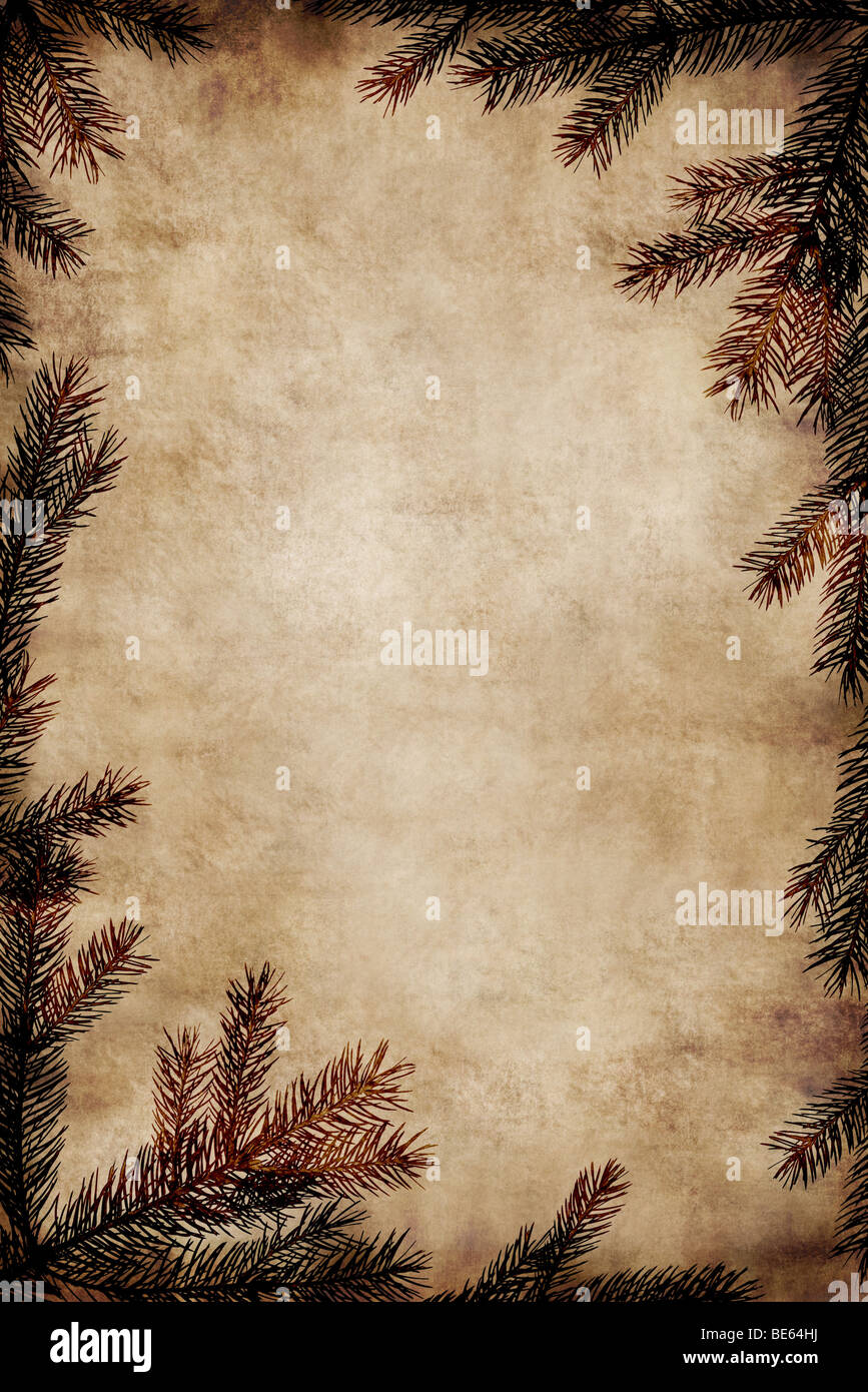 Old parchment paper with copy space on Christmas tree branch background  Stock Photo by natika