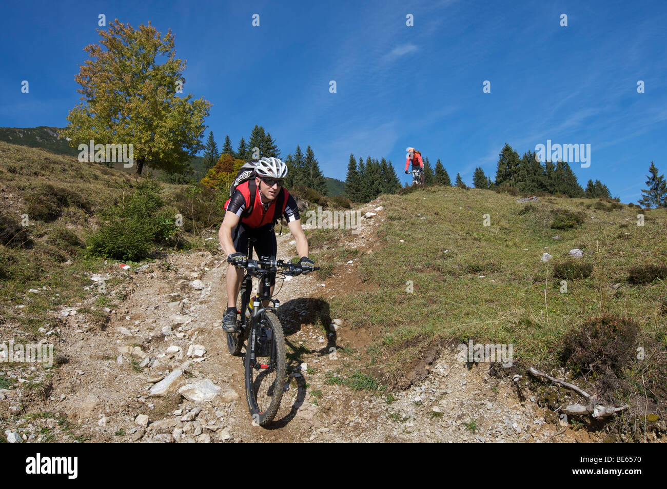 Mountainbiker on Gaisberg mountain, Rettenbach, Tyrol, Austria, Europe Stock Photo