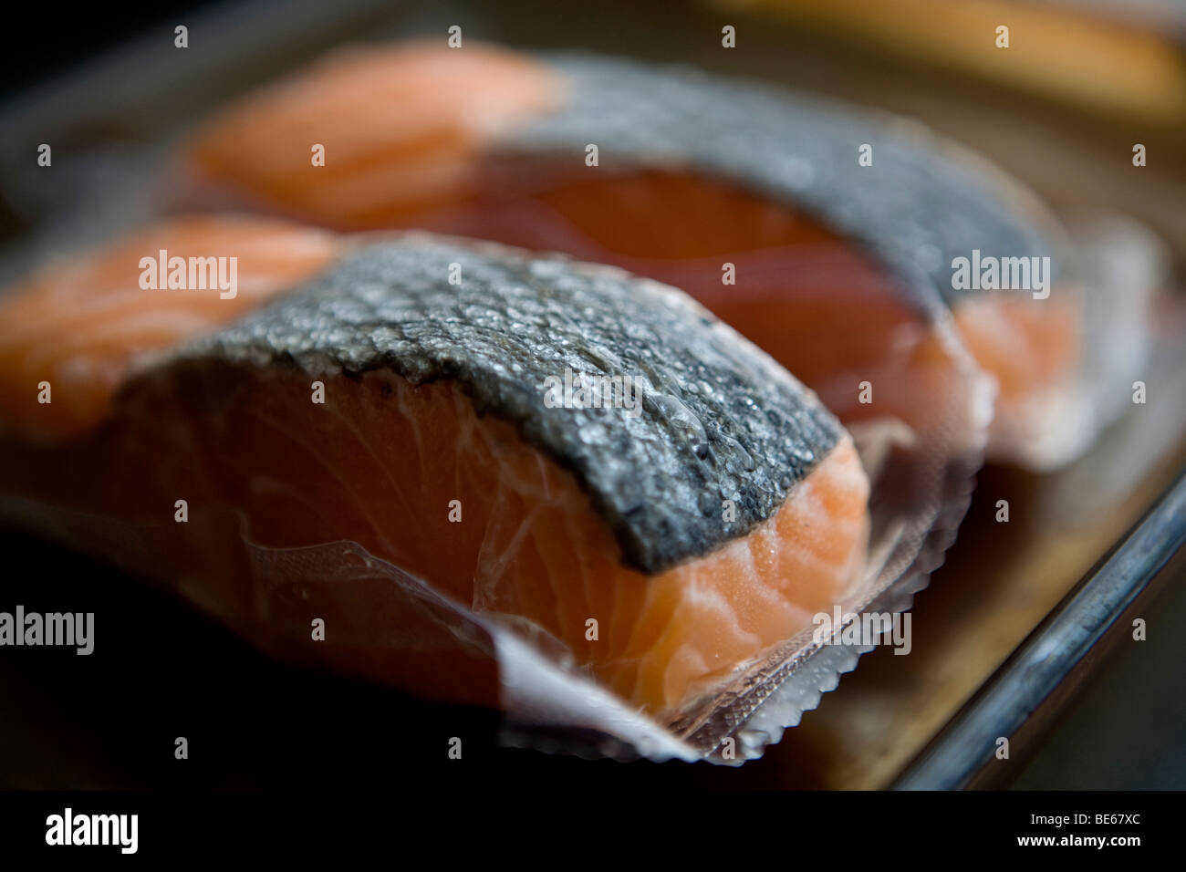 frozen salmon fillets Stock Photo