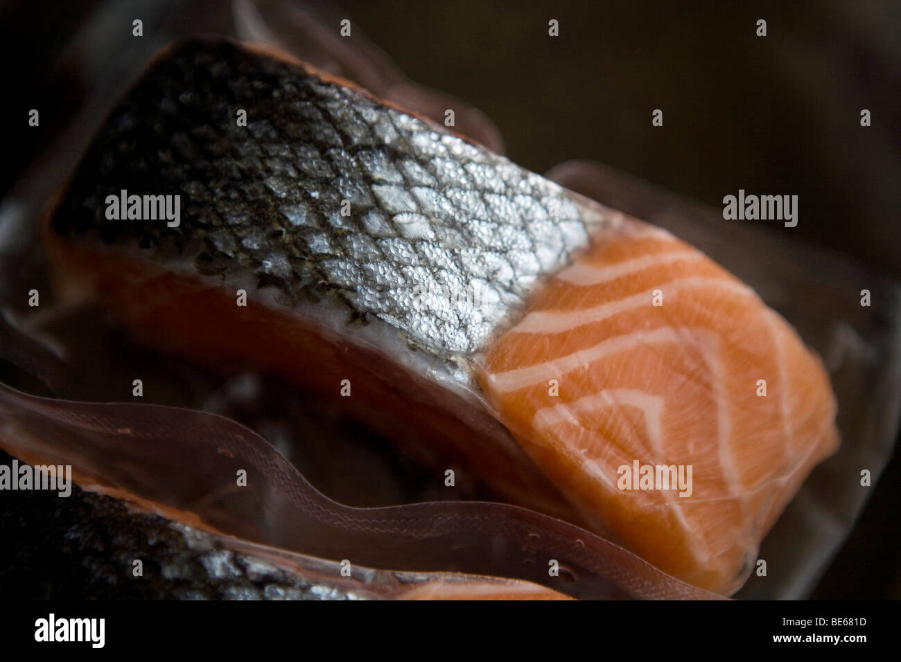 frozen salmon fillets Stock Photo