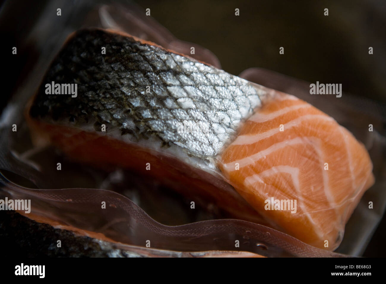frozen salmon fillets Stock Photo