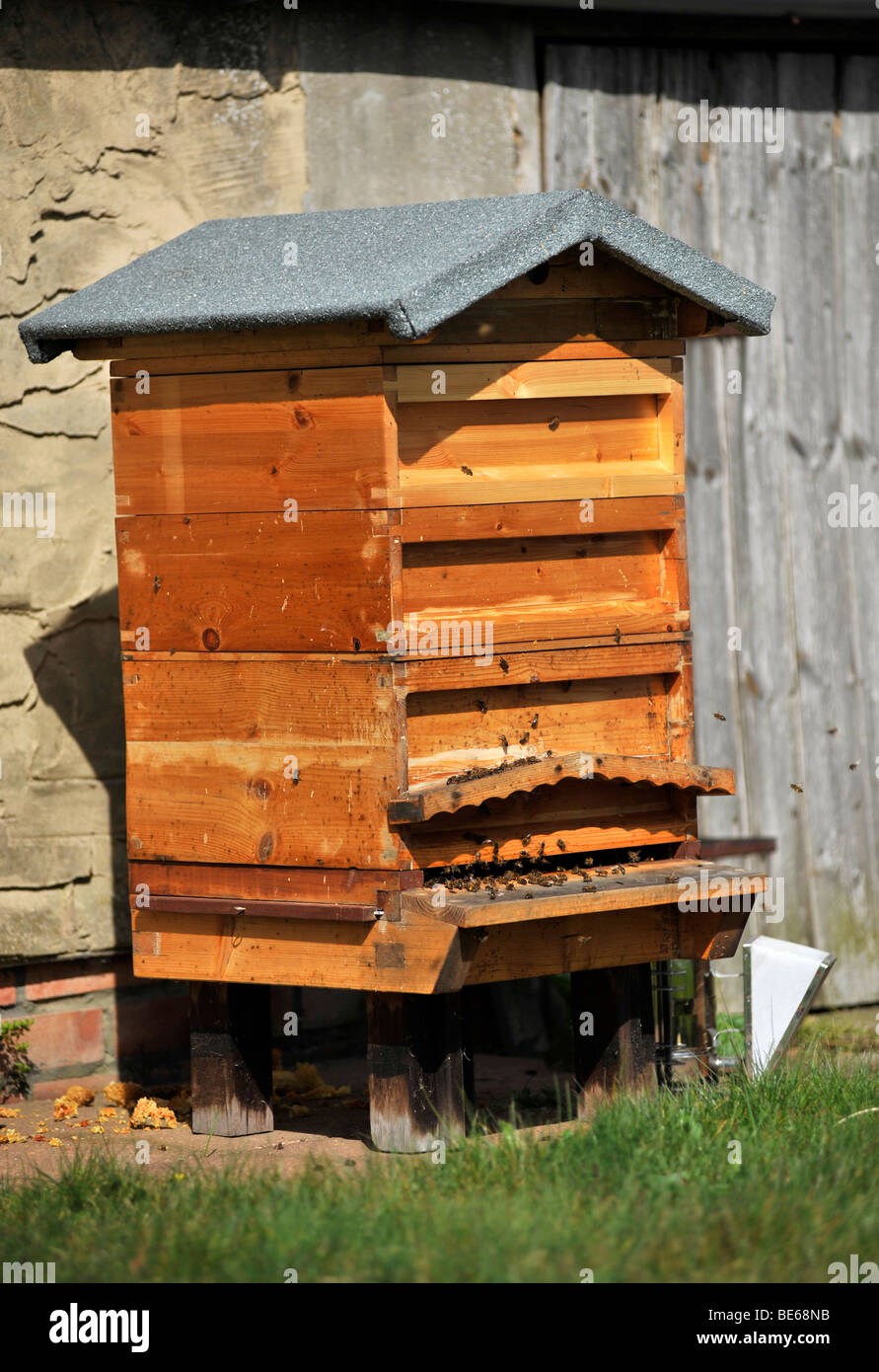 wooden national type traditional beehive Stock Photo