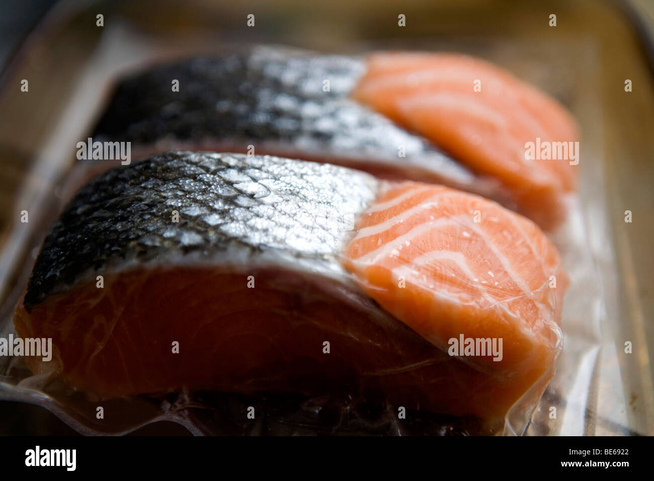 frozen salmon fillets Stock Photo - Alamy