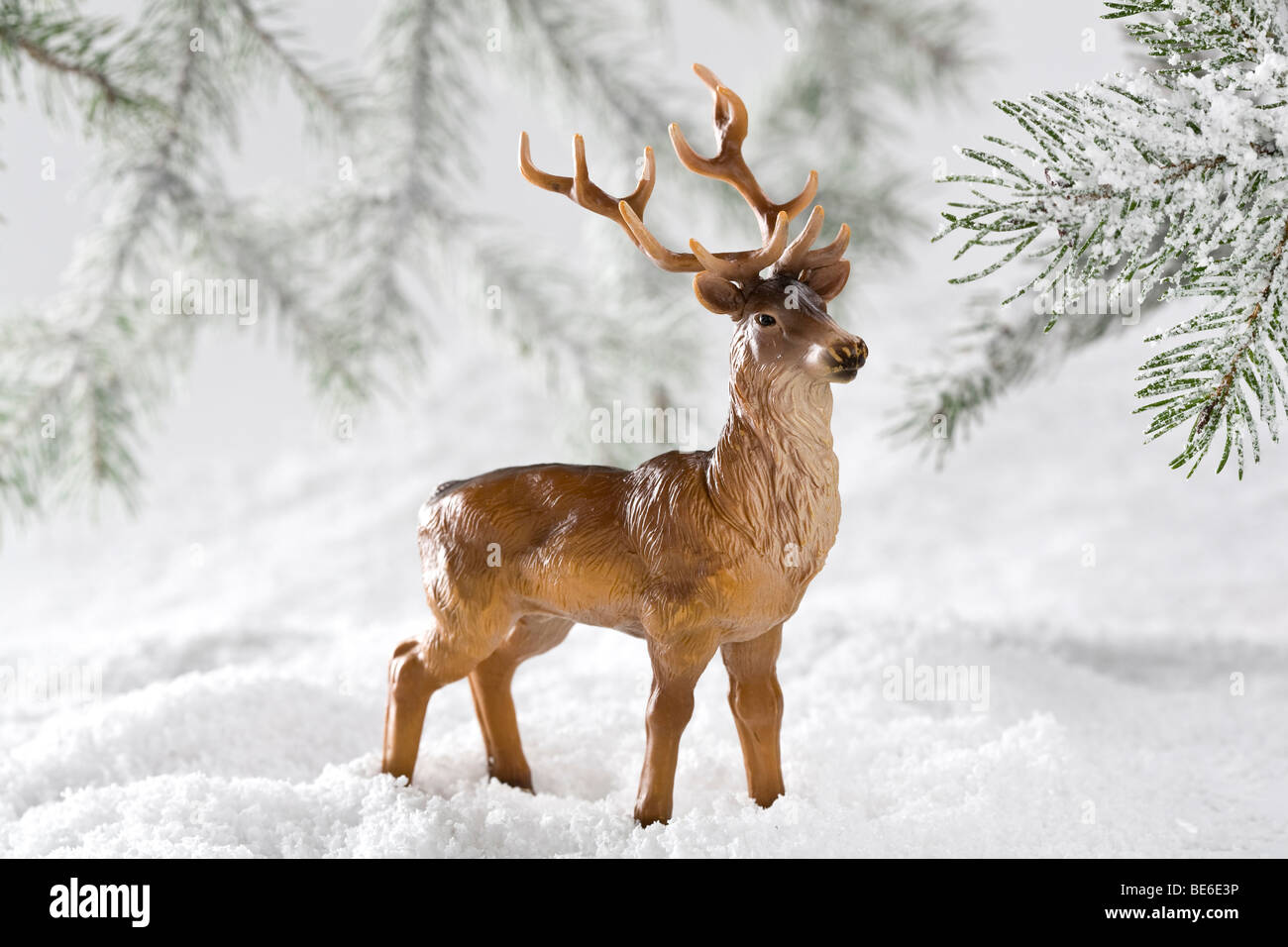 reindeer standing in winter landscape Stock Photo