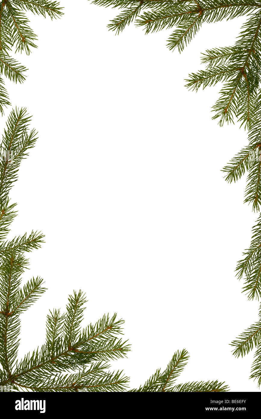 Christmas background - fir-tree branches frame isolated on white Stock ...