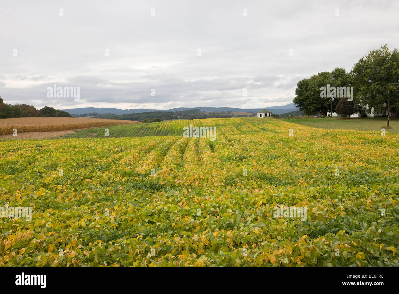 A farm located on a country road in Staunton, Virginia. Stock Photo