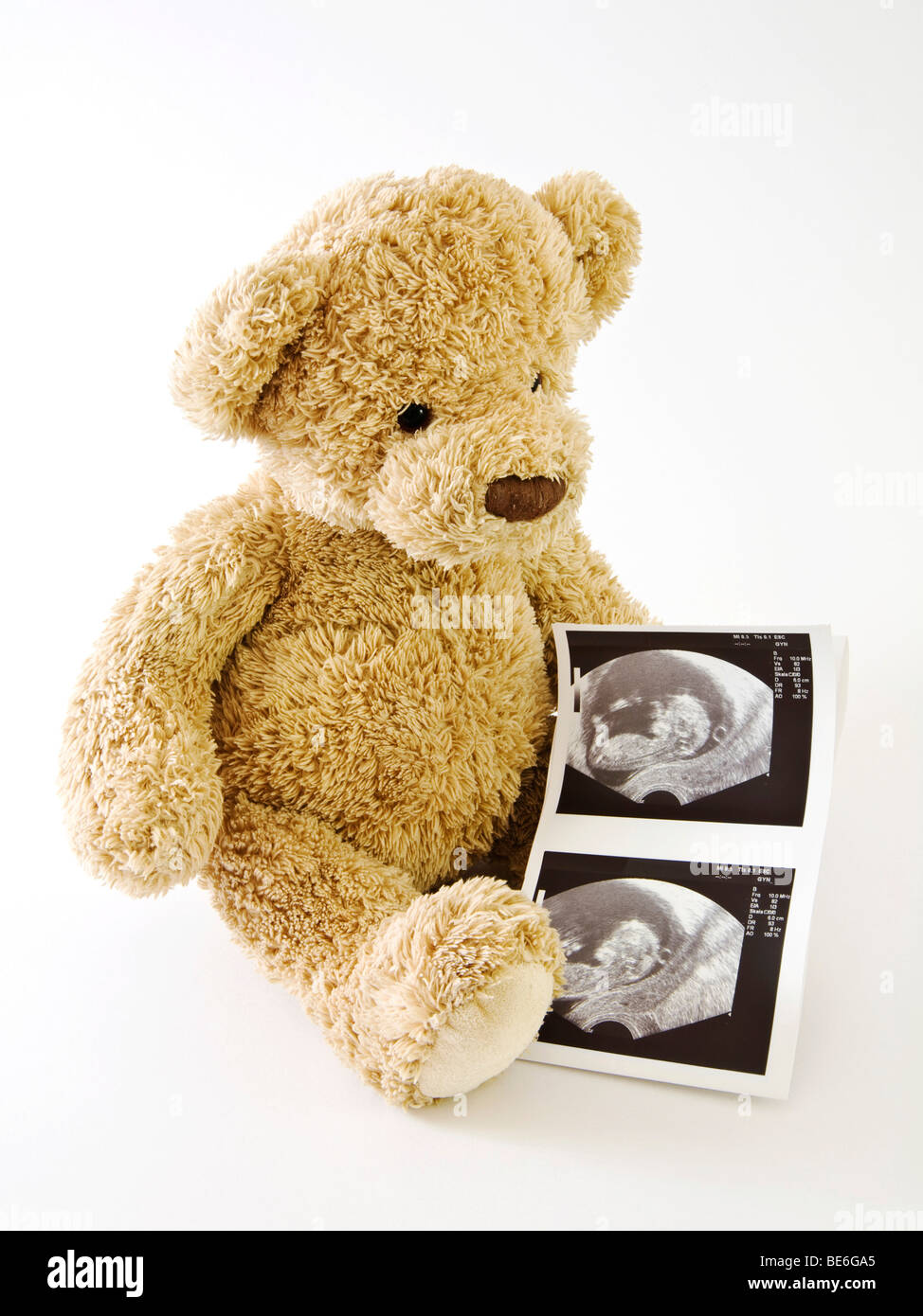 Teddy bear with ultrasonograms Stock Photo