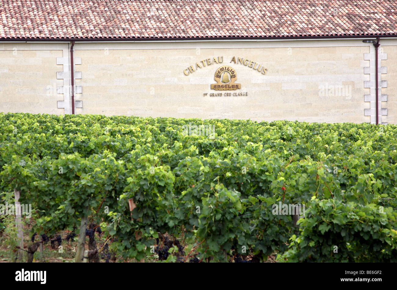 Chateau Angelus, famous Bordeaux wine producer Stock Photo Alamy