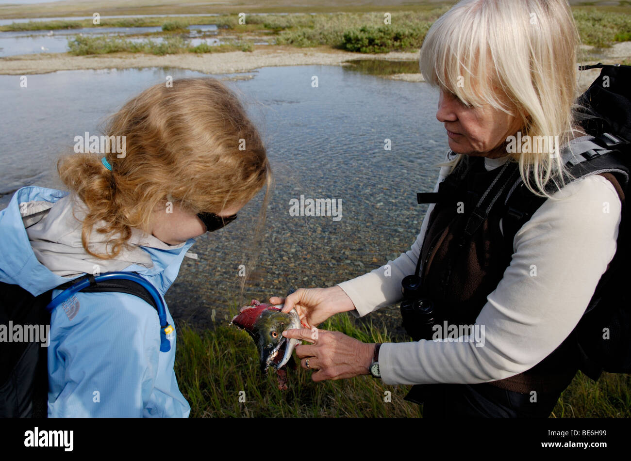 Outdoor education.  A naturalist teaches a girl about salmon, Katmai National Park Stock Photo