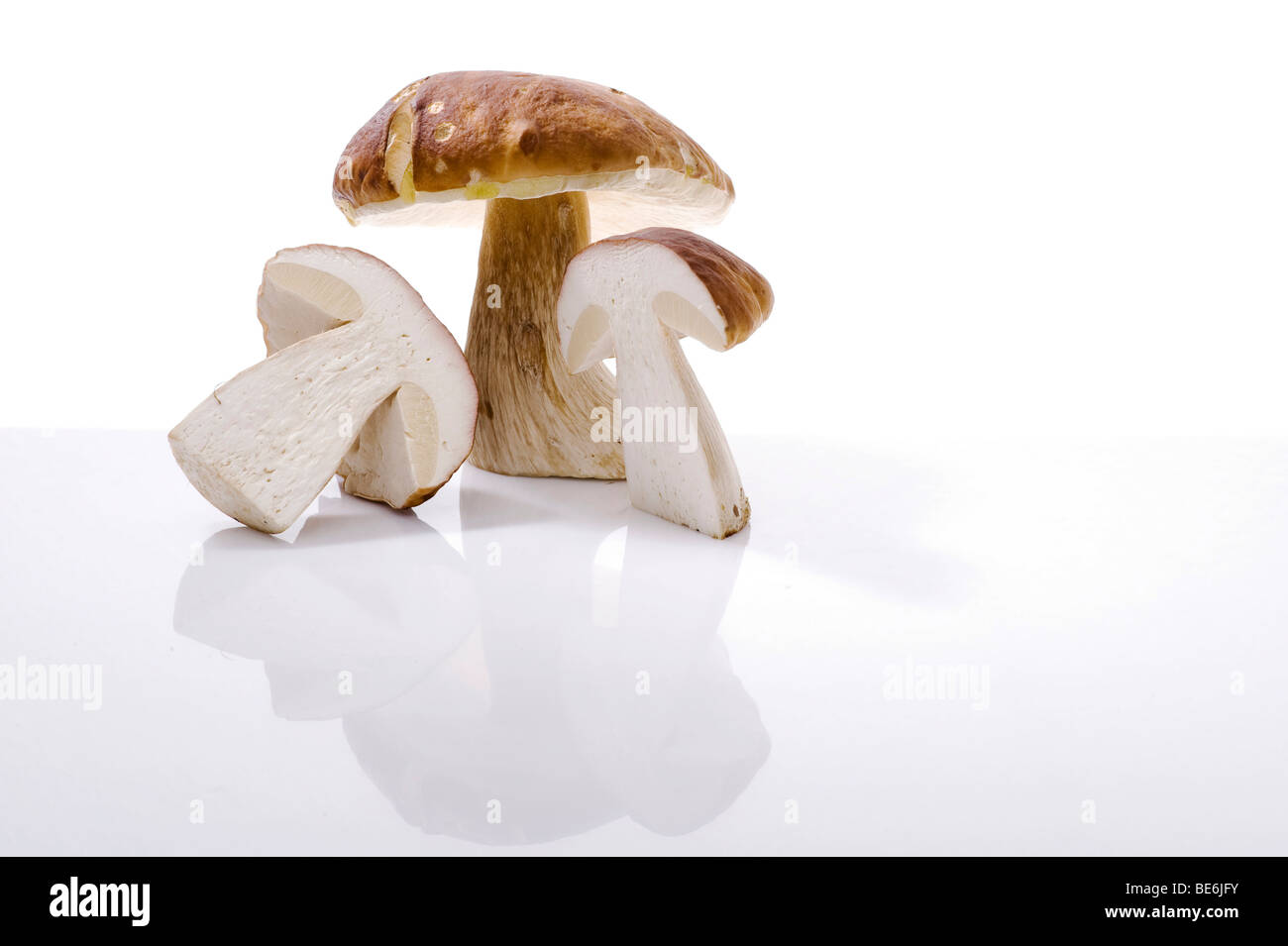 Porcini (Boletus) mushrooms Stock Photo Alamy