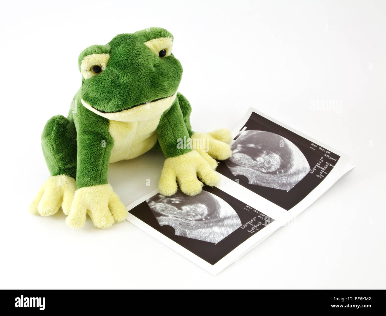 Frog, soft toy, ultrasonograms Stock Photo